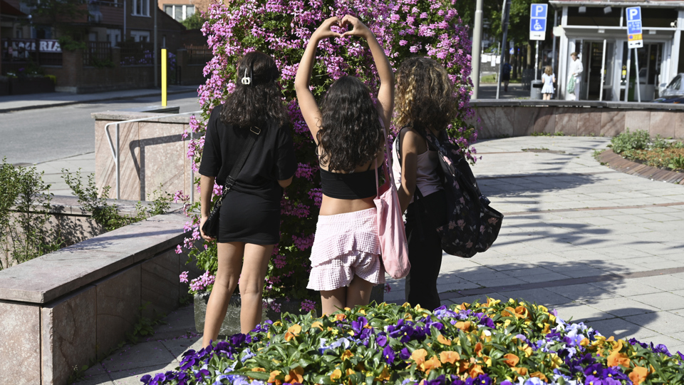 Tre tonårstjejer står på ett torg med ryggen mot kameran och tittar på en stor buske med många blommor.