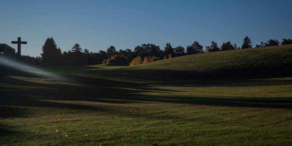 Stora gröna kullar och stort kors på Skogskyrkogården. Foto.