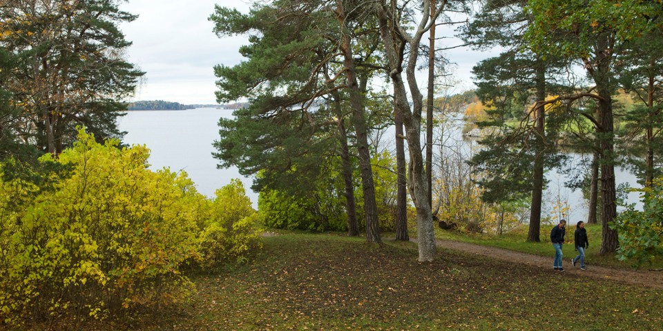 En skogsdunge nära vattnet där två personer promenerar på en  smal gångväg.