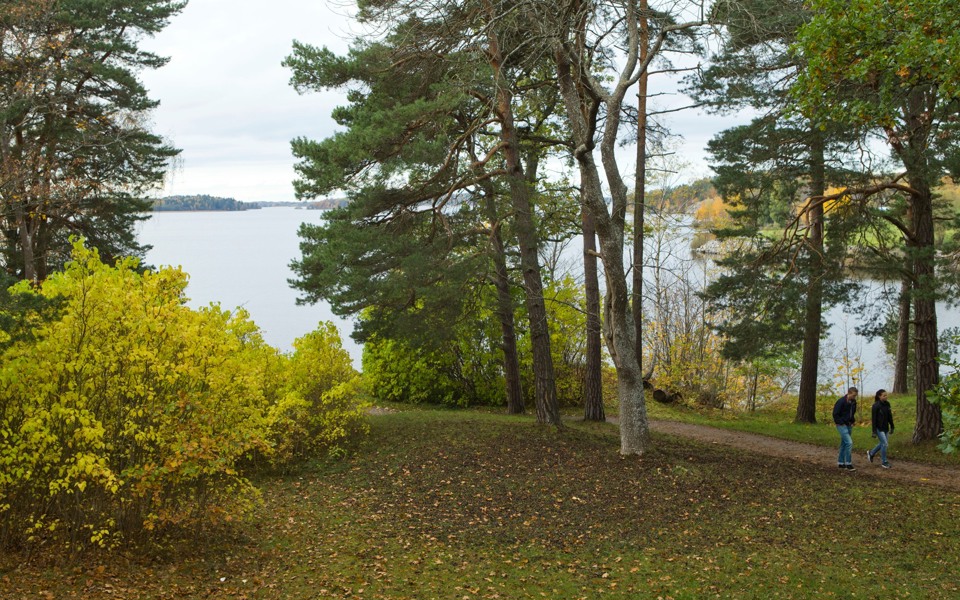 En skogsdunge nära vattnet där två personer promenerar på en  smal gångväg.