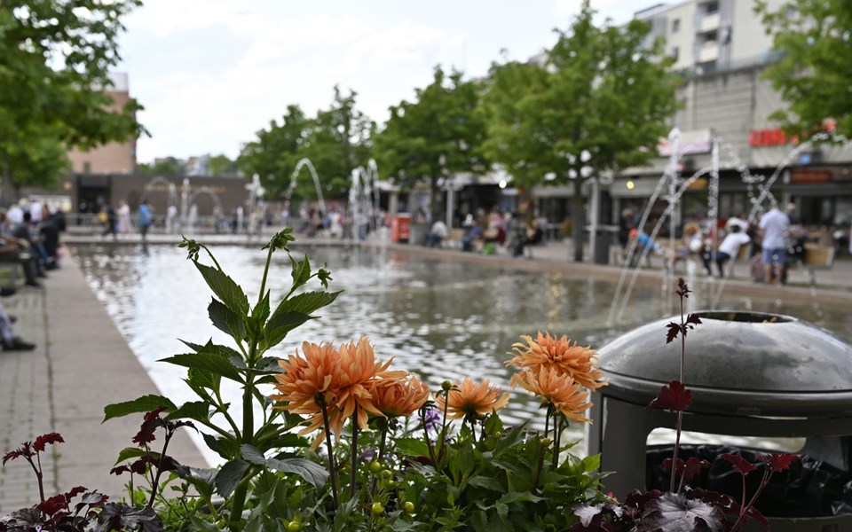Skärholmens centrum med vy över torget som har en fontän. I förgrunden finns blommor och människor är i rörelse på torget.