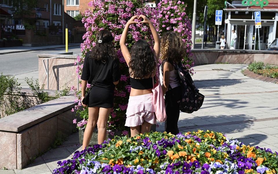 Tre tonårstjejer står på ett torg med ryggen mot kameran och tittar på en stor buske med många blommor.