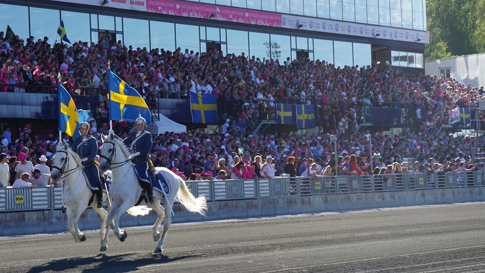 Två soldater med blanka hjälmar som rider på vita hästar. De bär svenska flaggor. I bakgrunden en fullsatt läktare.